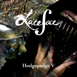 Hodgepodge V is the new release by Laceface the cellist