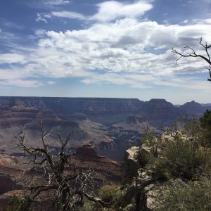 My first view of the Grand Canyon! Awesome!