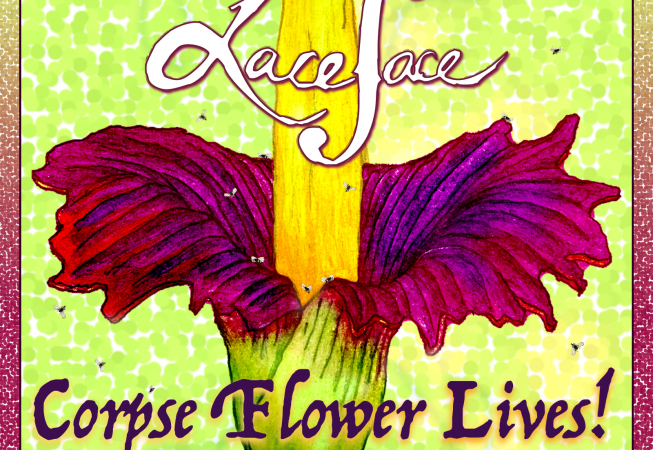 The new release from Laceface. Corpse Flower Lives! Coming soon! Corpse flower and flies drawings by SPH.